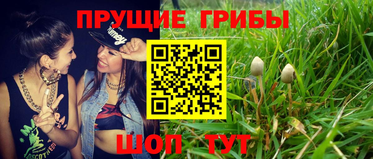 Галлюциногенные грибы MAGIC MUSHROOMS  Вход с VPN  Галлюциногенные грибы ЛСД  Воскресенск 
