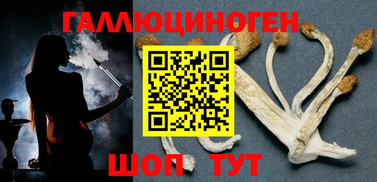 Псилоцибиновые грибы GOLDEN TEACHER Воскресенск